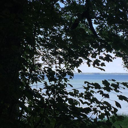 Lindegaardapartment - Woods And Sea Hejls Esterno foto