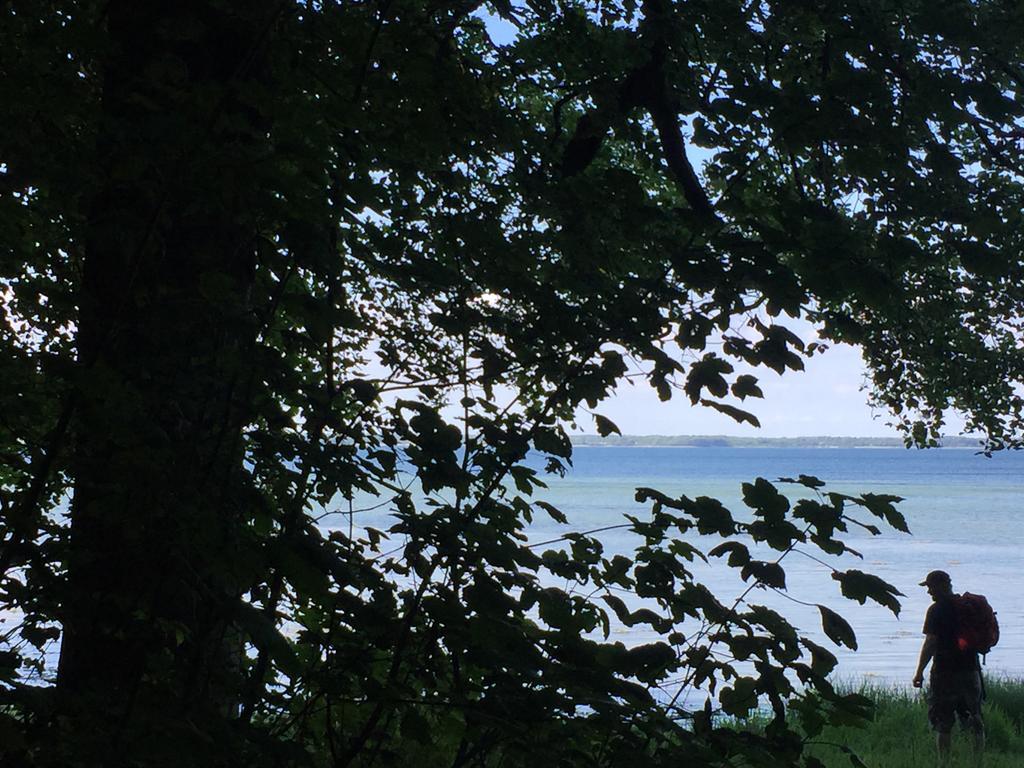 Lindegaardapartment - Woods And Sea Hejls Esterno foto